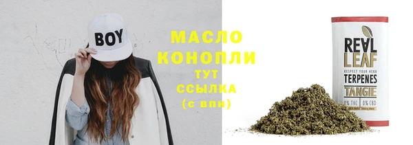 мдпв Лагань