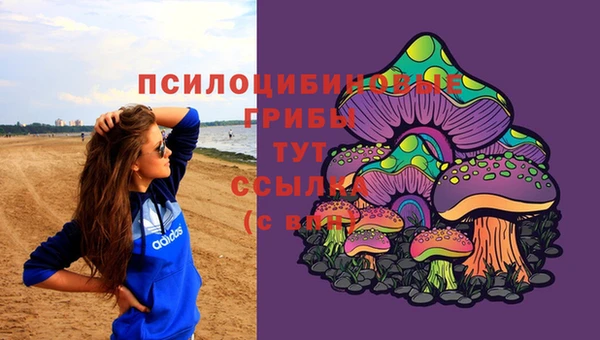 мдпв Лагань
