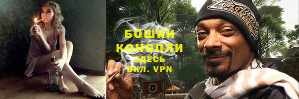 мдпв Лагань