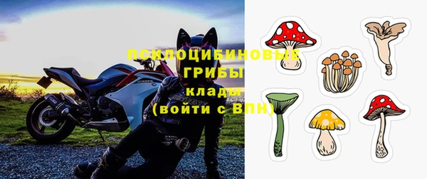 мдпв Лагань
